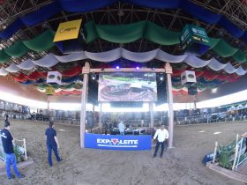 ExpoLeite: últimos dias para inscrições de animais