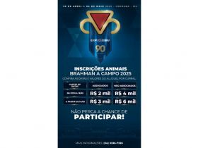 90ª ExpoZebu: confira as datas e valores das inscrições para o julgamento Brahman a Campo