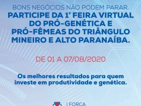 Minas Gerais terá ?1ª Feira Virtual de Touros Pró-Genética?