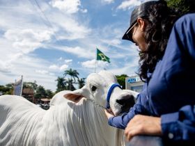 88ª ExpoZebu: integrada, moderna e conectada com o público