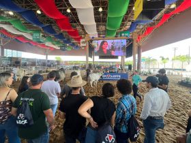 Confira a programação da ExpoLeite para esta quinta-feira (12)