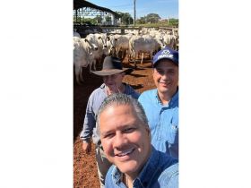 Equipes Técnica e de Fomento da ABCZ reforçam parceria com a USP em Pirassununga (SP)