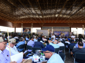 Leilão do PNAT é sucesso com participação de criadores de todo o país