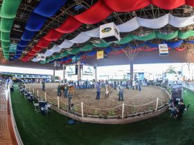 ExpoLeite: inscrições de animais começam na segunda-feira (9)