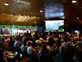 Leilões da 18ª ExpoGenética já movimentaram mais de R$ 77,5 milhões