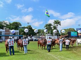 90ª ExpoZebu: confira a programação da feira para esta quinta-feira (1º de maio)