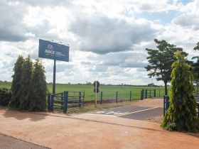 90ª ExpoZebu: Dia de Campo celebra 10 anos com programação especial