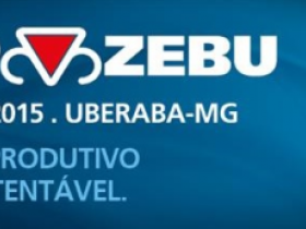 Primeiro leilão da ExpoZebu 2015 movimenta quase R$700 mil