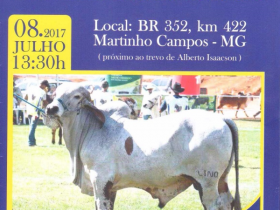 Dia de campo e leilão movimentam Martinho Campos (MG) nesse sábado