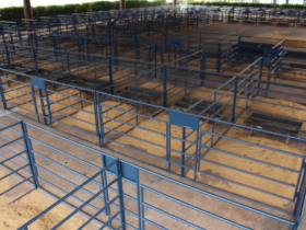 ExpoGenética 2018: estrutura em pavilhões e Multiuso já está sendo montada