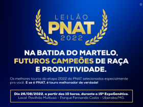 ExpoGenética 2022: Leilão Touros PNAT ofertará genética de qualidade no dia 26 de agosto