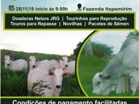 Dia de Campo movimentará o interior da Bahia na próxima quarta (28)