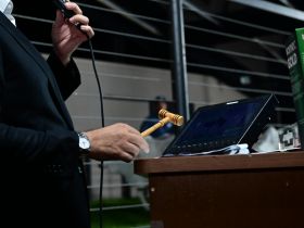 90ª ExpoZebu: Leilões já contabilizam renda superior a R$ 9,5 milhões