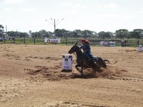 Equishow vai receber mais de 400 animais este ano