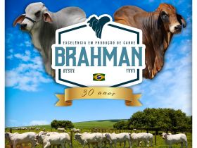 Associação de Brahman lança selo comemorativo de 30 anos