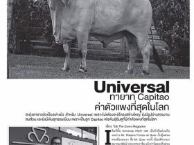 Revista tailandesa divulga material sobre a raça Indubrasil