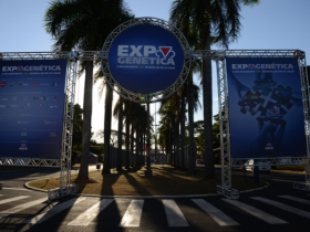ExpoGenética recebe participantes do Projeto Comprador da ABCZ e da Apex-Brasil