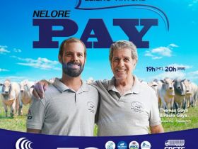 Faltam apenas cinco dias para o Leilão Virtual Nelore Pay 