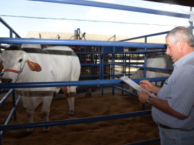 ExpoGenética: Começa primeira fase do PNAT 2015