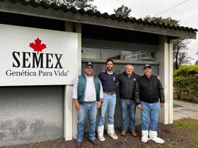 Conselho Deliberativo Técnico da ABCZ visita centrais de sêmen para estudo na entidade