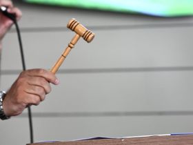 Leilões da 90ª ExpoZebu já movimentaram mais de R$ 161 milhões