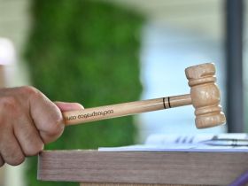 Leilões da 89ª ExpoZebu já faturaram mais de R$ 39 milhões de reais