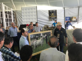 ABCZ participa de Dia de Campo na Fazenda Tamburil