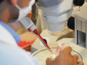 Brasil é autorizado a vender embriões bovinos para Malásia