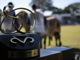 ExpoZebu 2018: a grande feira da pecuária brasileira comemora excelentes resultados 
