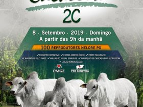 ?Leilão Virtual Touros Cachoeira 2C? será realizado no próximo domingo (08)