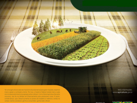 Contratação de crédito rural cresce em julho e agosto