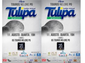 Leilão Top Tulipa - Edição PO Virtual’ ofertará 60 exemplares de Nelore PO