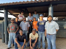 Equipe do TDEA-PNAT recebe treinamento sobre manejo racional de bovinos