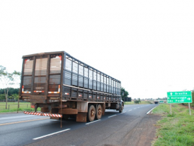 Transporte animal: menos burocracia para o produtor de gado em MG