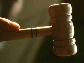 89ª ExpoZebu: leilões faturam mais de R$ 179 mi e batem recorde em negócios