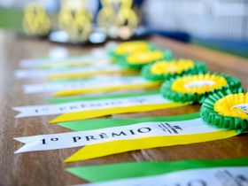 88ª ExpoZebu: Confira a programação para esta segunda-feira (1º)