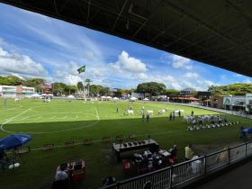 Expoinel Minas reúne cerca de mil exemplares e marca início do calendário da raça Nelore