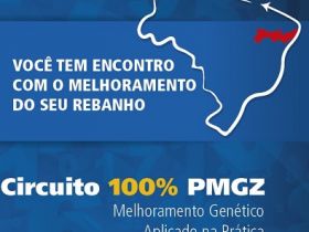 Últimos dias para inscrição no Circuito 100% PMGZ ? Etapa Recife