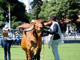 Inscrições para o curso de julgamento vão até amanhã