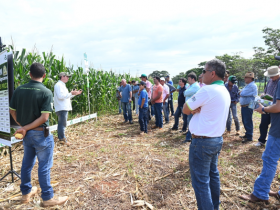 Dias de Campo movimentam Fazenda Experimental Orestes Prata Tibery Júnior