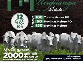 Leilão Virtual Fazenda Urupianga é homologado pela ABCZ 