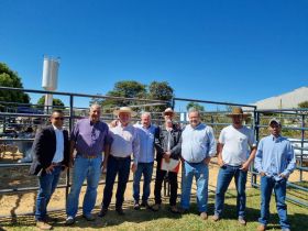 Com comercialização de touros puros de origem, começou hoje (25) a Feira de Touros do Pró-Genética no ‘20º Encontro de Bons Negócios da Certim’