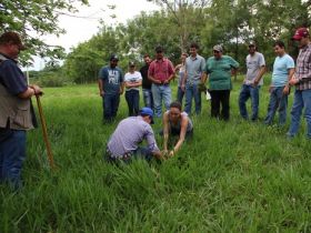 ABCZ e Senar Minas realizam curso gratuito de formação e manejo de pastagens