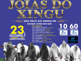 14º Leilão Joias do Xingu acontece neste sábado 
