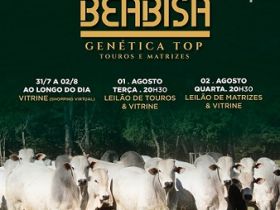 Leilão e Vitrine Beabisa Genética Top Touros e Matrizes terá leilão chancelado pelo Pró-Genética. 