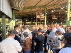 Técnicos de Campo da ABCZ que farão a coleta de dados de mensuração linear passam por capacitação durante a 16ª ExpoGenética