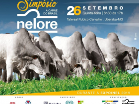 Expoinel: ACNB promove o 9º Simpósio Nelore ? A Carne do Brasil