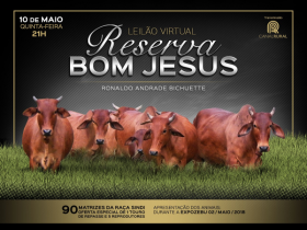 Leilão Reserva Bom Jesus encerra temporada ExpoZebu 2018 nesta 5ª