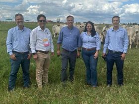 Rota do PMGZ: nova temporada revela resultados do melhoramento genético no Paraná