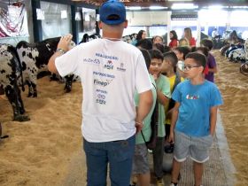 Projeto 'Meu Amigo Animal' promove interação com zebuínos da 89ª ExpoZebu
